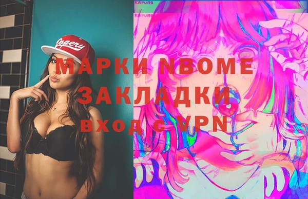 дживик Инта