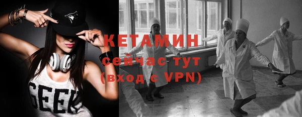 дживик Инта