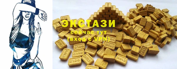 дживик Инта