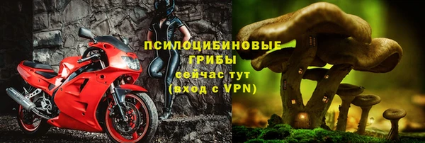 дживик Инта
