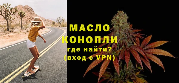 дживик Инта