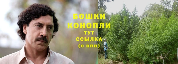 дживик Инта