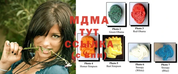 Альфа ПВП Инсар